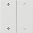GIRA - Wippe 2f Pfeile System 55 Reinweiß