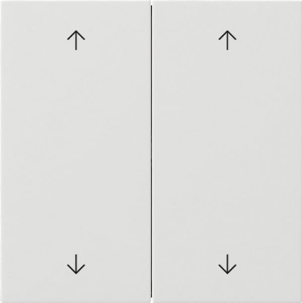 GIRA - Wippe 2f Pfeile Flächenschalter Reinweiß