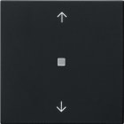 GIRA - Wippe 1f Pfeile Kontrollf. System 55 Schwarz m