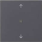 GIRA - Wippe 1f Pfeile Kontrollf. System 55 Anthrazit