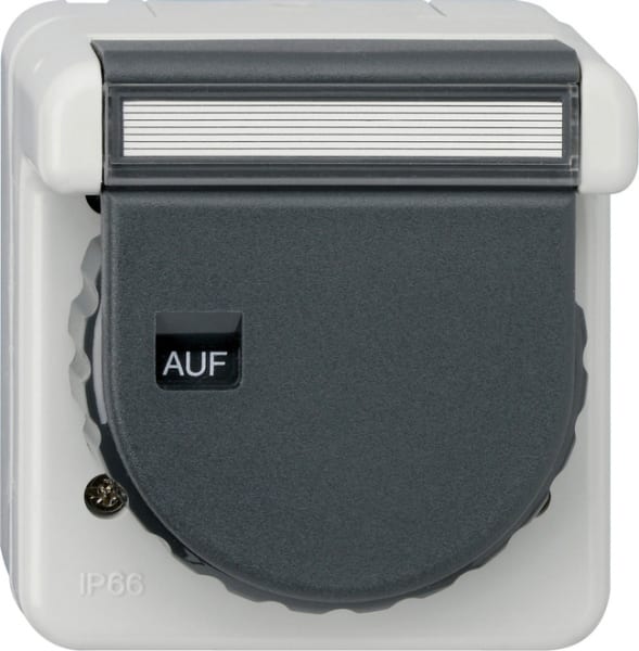 GIRA - SCHUKO-Steckd. KD Bajonett + BSF WG AP Grau
