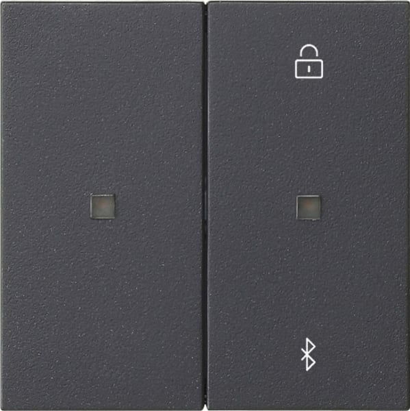 GIRA - S3000 Jal.-/Schaltuhr BT System 55 Anthrazit
