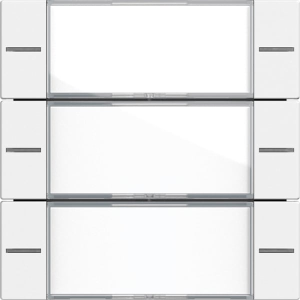 GIRA - Wippenset 3f Beschriftungsfeld Tastsensor 4 System 55 Klar/Reinweiß matt