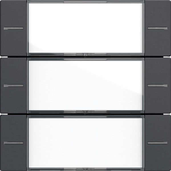 GIRA - Wippenset 3f Beschriftungsfeld Tastsensor 4 System 55 Klar/Anthrazit