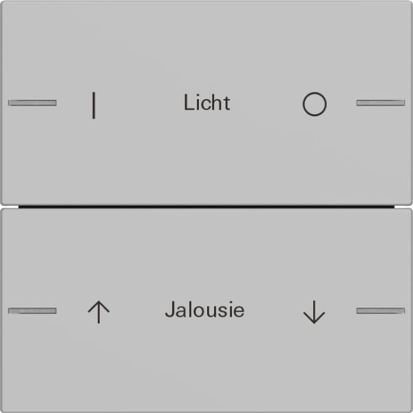 GIRA - Wippenset 2f individuell Tastsensor 4 System 55 Grau matt