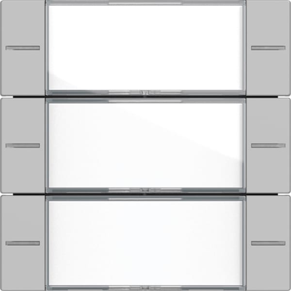 GIRA - Wippenset 3f Beschriftungsfeld Tastsensor 4 System 55 Klar/Grau matt