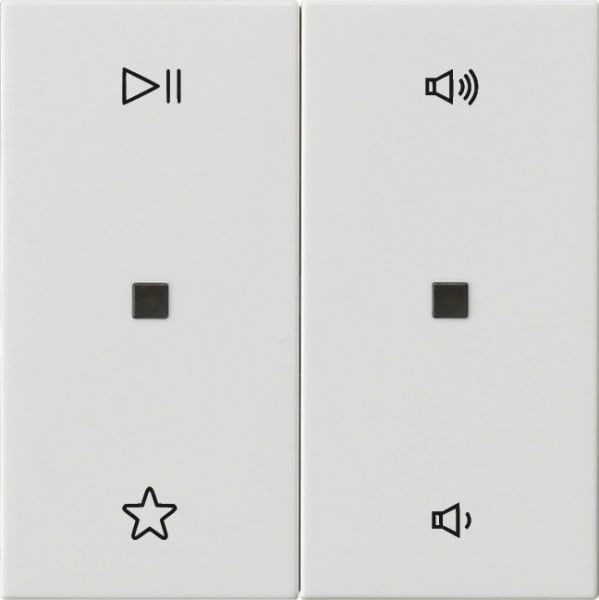GIRA - Wippe 2f Audiostrg System 55 Reinweiß