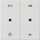 GIRA - Wippe 2f Audiostrg System 55 Reinweiß