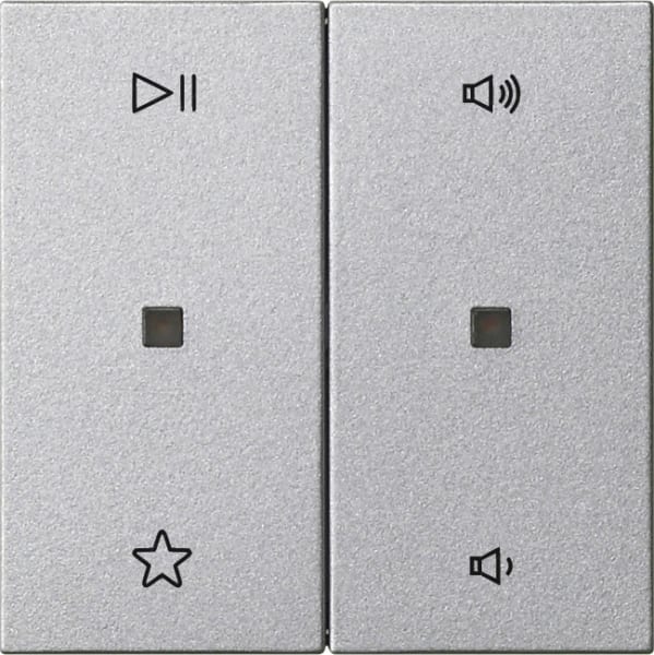 GIRA - Wippe 2f Audiostrg System 55 F Alu