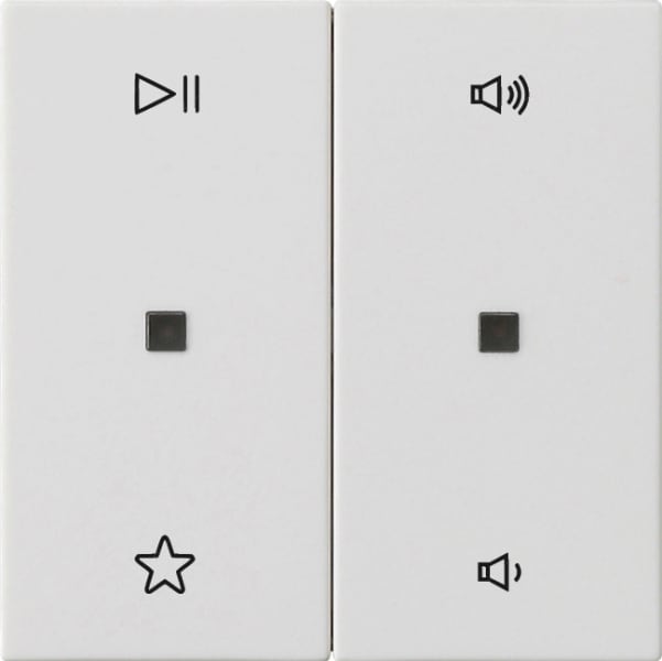 GIRA - Wippe 2f Audiostrg System 55 Reinweiß m
