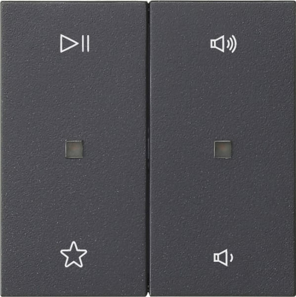 GIRA - Wippe 2f Audiostrg System 55 Anthrazit