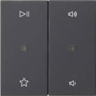 GIRA - Wippe 2f Audiostrg System 55 Anthrazit