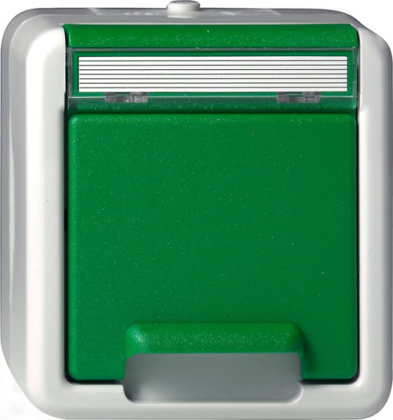 GIRA - SCHUKO-Steckd. KD + BSF WG AP Grün