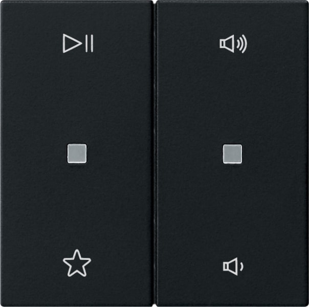 GIRA - Wippe 2f Audiostrg System 55 Schwarz m