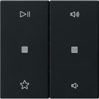 GIRA - Wippe 2f Audiostrg System 55 Schwarz m