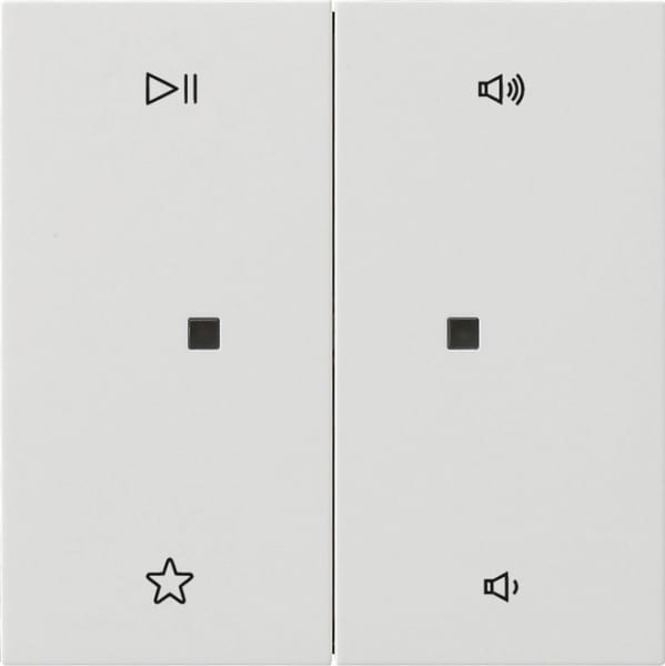 GIRA - Wippe 2f Audiostrg Flächenschalter Reinweiß
