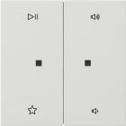 GIRA - Wippe 2f Audiostrg Flächenschalter Reinweiß