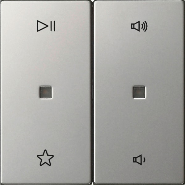 GIRA - Wippe 2f Audiostrg System 55 Edelstahl