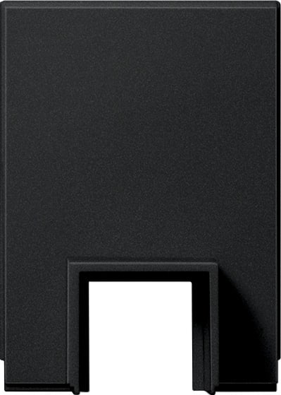 GIRA - Adapter Ltg.einf. Kanal 15 x 15 mm System 55 Schwarz m(lack.)