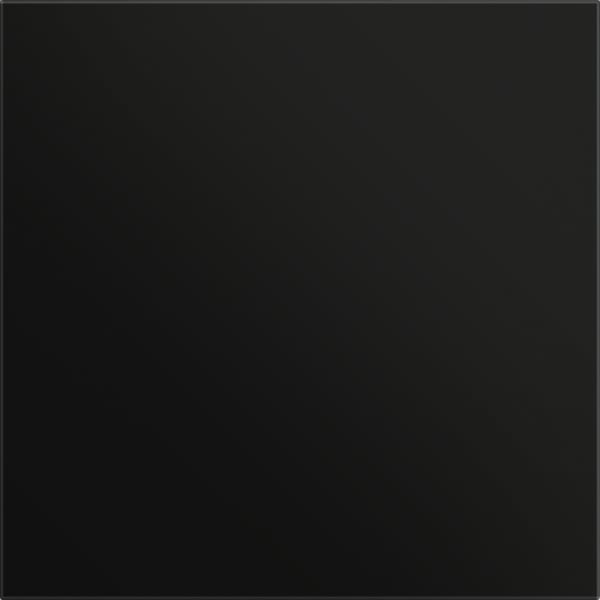 GIRA - Frontpl. Info-/Blindmodul System 106 Schwarz m