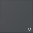 GIRA - Wippe Symb. Licht System 55 Anthrazit