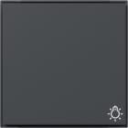 GIRA - Wippe Symb. Licht Gira TX_44 (WG UP) Anthrazit