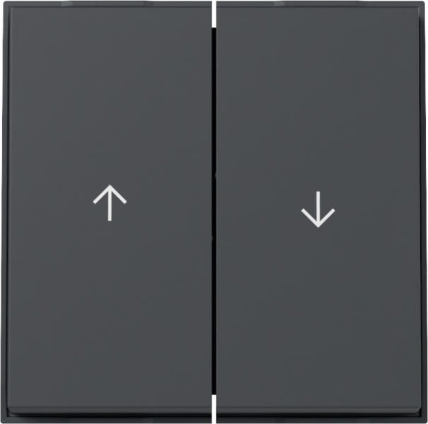 GIRA - Wippe 2f Pfeil Gira TX_44 (WG UP) Anthrazit