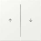 GIRA - Wippe 2f Pfeil Flächenschalter Reinweiß