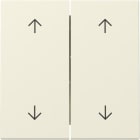 GIRA - Wippe 2f Pfeile System 55