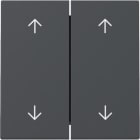 GIRA - Wippe 2f Pfeile System 55 Anthrazit