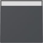 GIRA - Wippe BSF System 55 Anthrazit