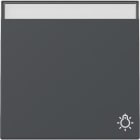 GIRA - Wippe Symb. Klingel + BSF System 55 Anthrazit