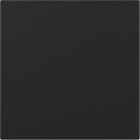 GIRA - Wippe gerade System 55 Schwarz m