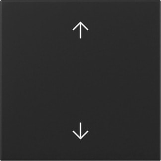 GIRA - Wippe Pfeile System 55 Schwarz m