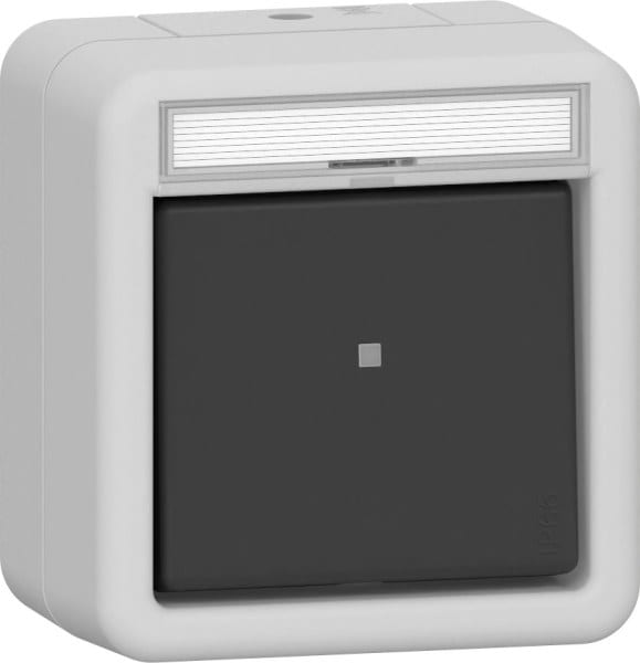 GIRA - Wipptaster Wechsler BSF WD AP Grau