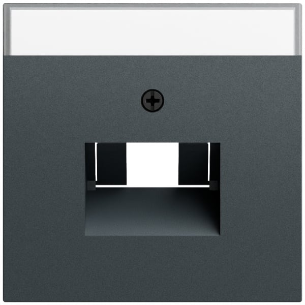 GIRA - Abd. BSF UAE/IAE + Netzwerk System 70 Anthrazit(lack.)