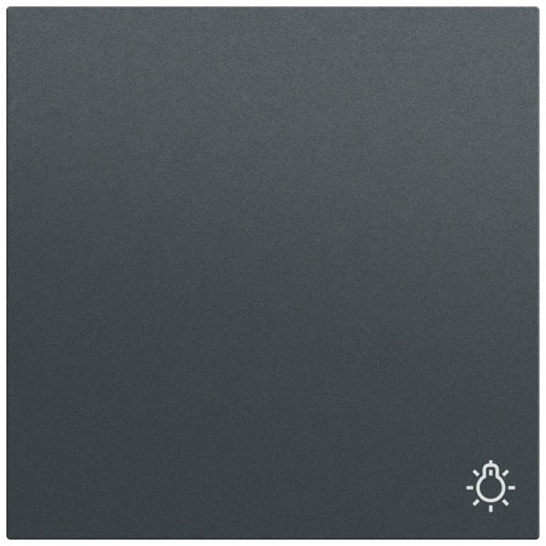 GIRA - Wippe Symb. Licht System 70 Anthrazit(lack.)