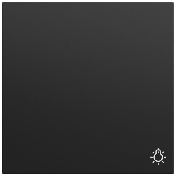 GIRA - Wippe Symb. Licht System 70 Schwarz m(lack.)