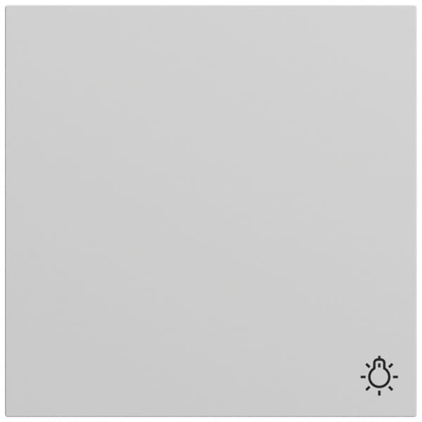 GIRA - Wippe Symb. Licht System 70 Grau m(lack.)