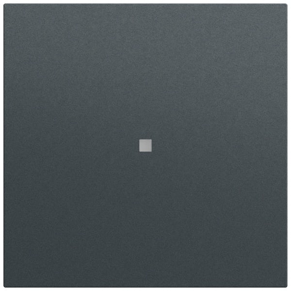 GIRA - Wippe Kontrollf. System 70 Anthrazit(lack.)