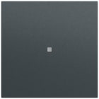 GIRA - Wippe Kontrollf. System 70 Anthrazit(lack.)