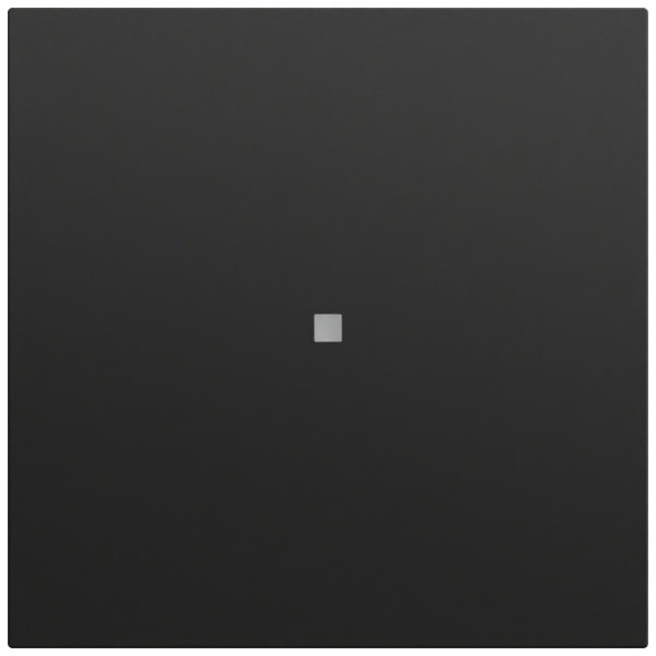 GIRA - Wippe Kontrollf. System 70 Schwarz m(lack.)