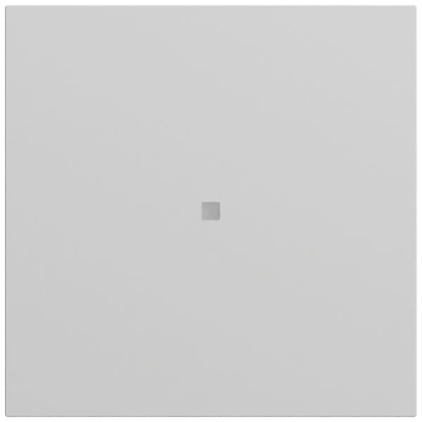 GIRA - Wippe Kontrollf. System 70 Grau m(lack.)