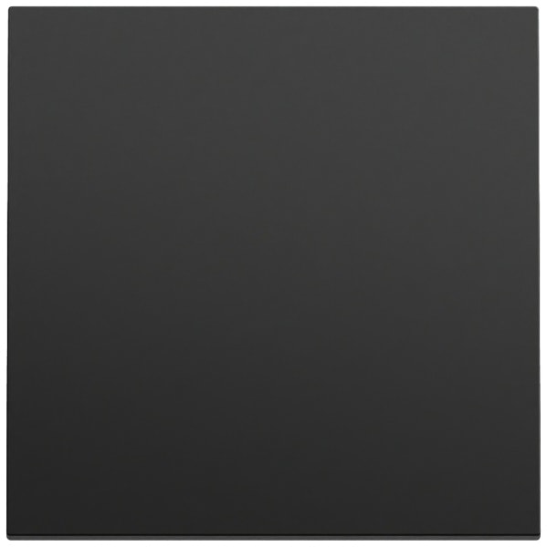 GIRA - Wippe System 70 Schwarz m(lack.)