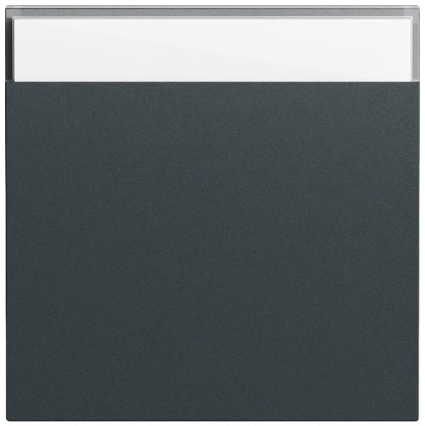 GIRA - Wippe BSF System 70 Anthrazit(lack.)