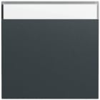 GIRA - Wippe BSF System 70 Anthrazit(lack.)
