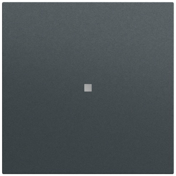 GIRA - Wippe gerade Kontrollf. System 70 Anthrazit(lack.)
