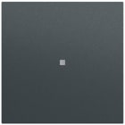GIRA - Wippe gerade Kontrollf. System 70 Anthrazit(lack.)