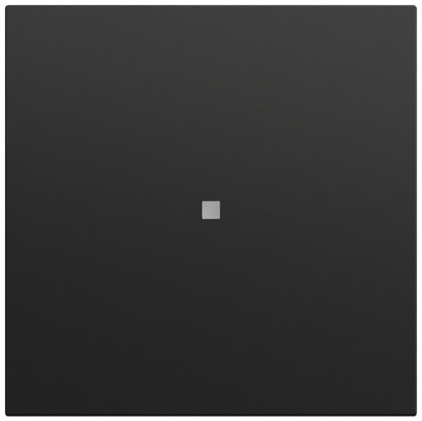 GIRA - Wippe gerade Kontrollf. System 70 Schwarz m(lack.)