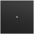 GIRA - Wippe gerade Kontrollf. System 70 Schwarz m(lack.)